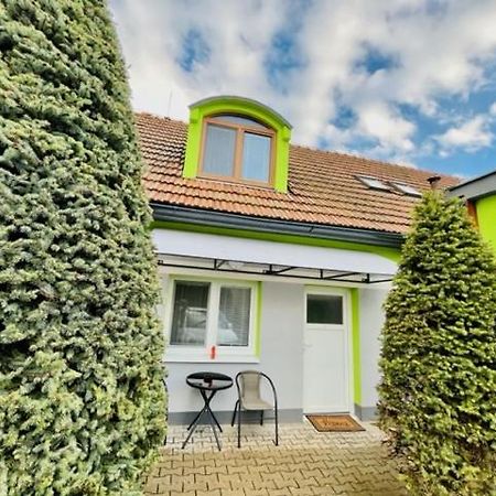 Penzion Tyche Surany Exterior foto